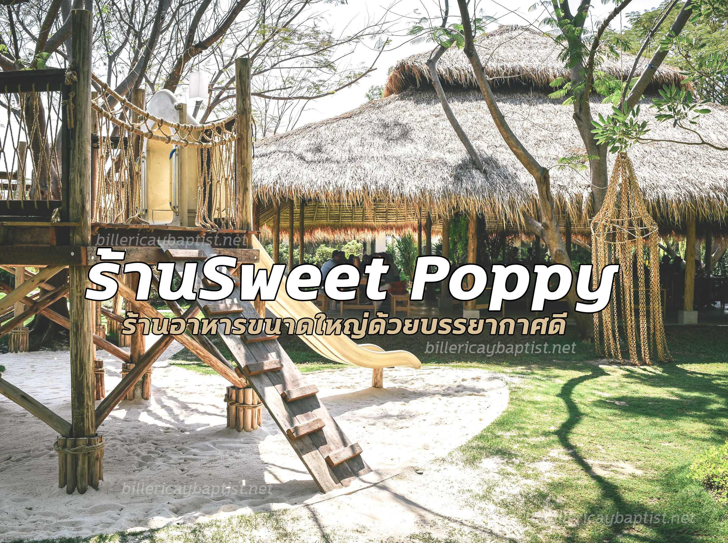 ร้านSweet Poppy1